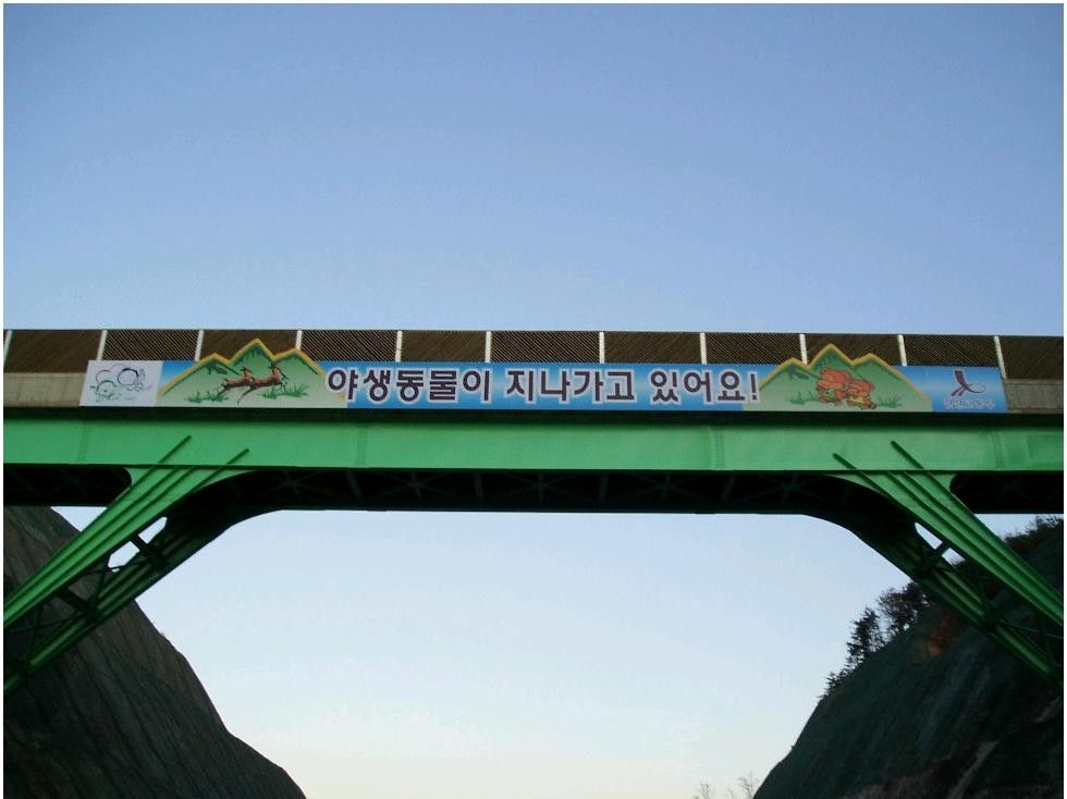 도로 위 생태통로 다리에 설치한 '야생동물이 지나가고 있어요' 현수막
